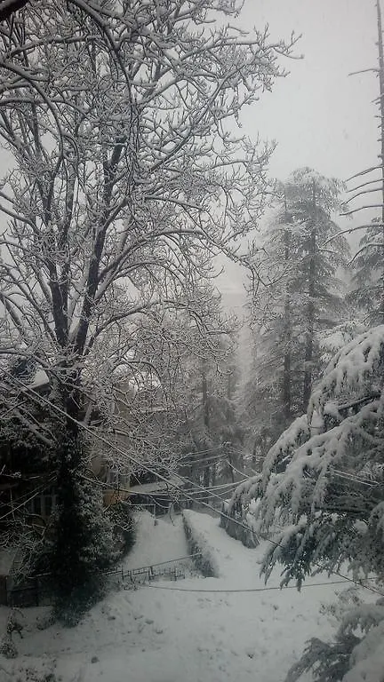 Apna Ghar Apartment Shimla